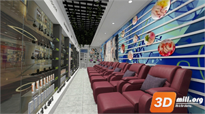 Beauty Salon Skp Files